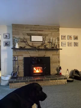 Looking for New Wood Stove Insert