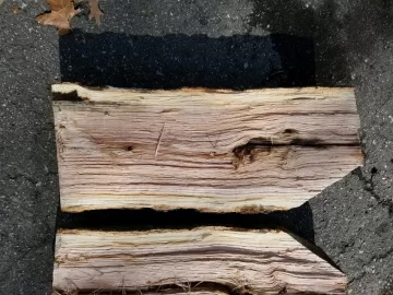 Help with wood ID