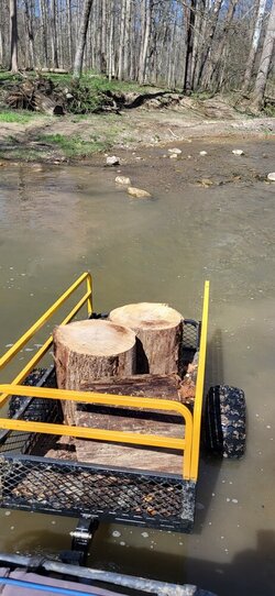 River bottom logging.