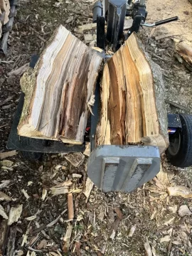 Wood ID