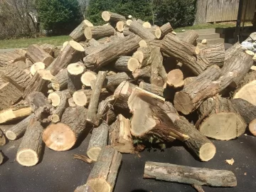 Getting firewood ready for this winter