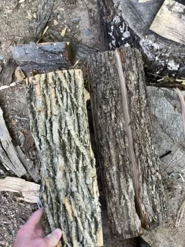 What’s this wood?