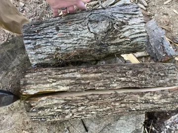 What’s this wood?