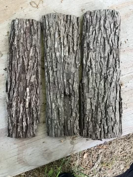 What’s this wood?