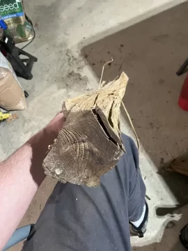 What’s this wood?