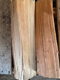 Color of Kiln Dried Wood?