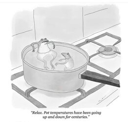 frogs in hot pot.jpg