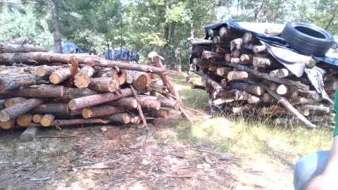 Monetary challenged stiff- backed wood processing ideas