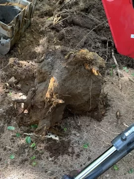[Hearth.com] Mahindra 4540