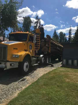 Log truck loads of firewood in the pnw.