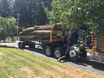 Log truck loads of firewood in the pnw.