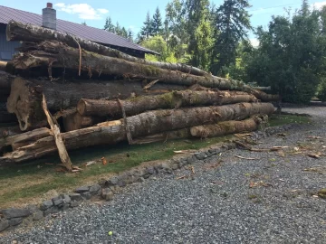 Log truck loads of firewood in the pnw.