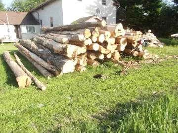 Log truck loads of firewood in the pnw.