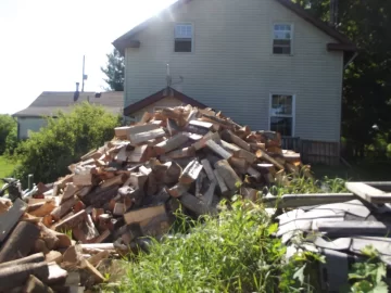 Log truck loads of firewood in the pnw.