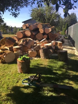 Log truck loads of firewood in the pnw.