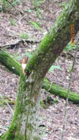 104_3868.JPG