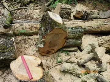 104_3924.JPG