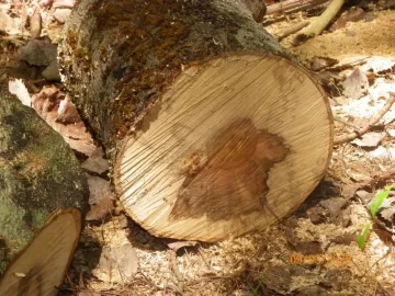 104_3976.JPG
