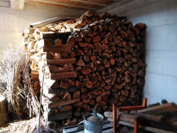 Tons of oak.  Wait to cut up some?