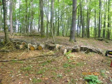 104_3983.JPG