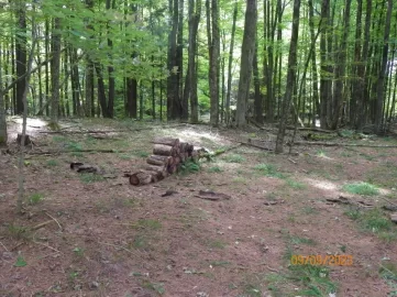 104_3992.JPG