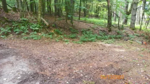 104_4005.JPG