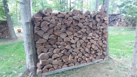 Resized_20230909_174748_3761.jpeg