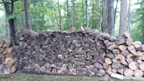 Resized_20230910_164048_831.jpeg