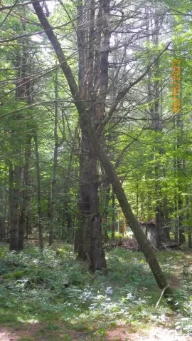 104_4019.JPG