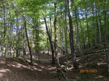 104_4028.JPG