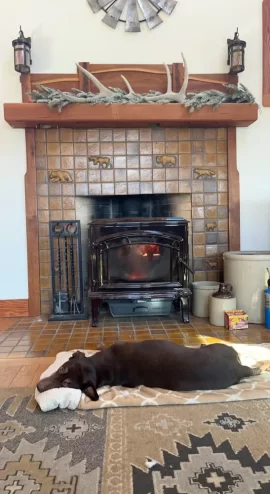 Wood Stove.jpg