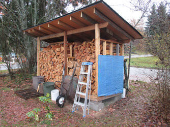 woodshed 2023 01.jpeg