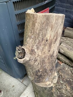 What is this blasted wood?!?
