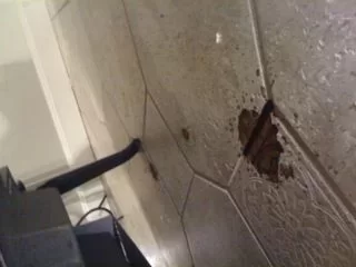 [Hearth.com] Oslo "Leaking" (Cracked?)