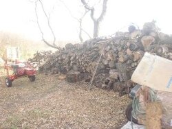 Second Update with pics -- A unique wood pile problem and the plans for a Canadian Thanksgiving week