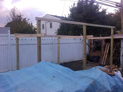 Finally got the wood shed up! YEAY! Pics.