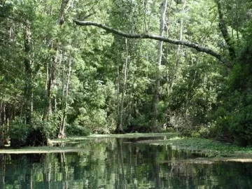 [Hearth.com] Your neck of the woods...