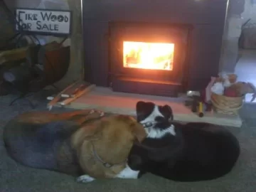 [Hearth.com] HAPPINESS IS..........
