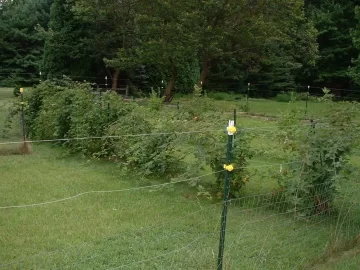 [Hearth.com] Fall garden cleanup/fruit pruning