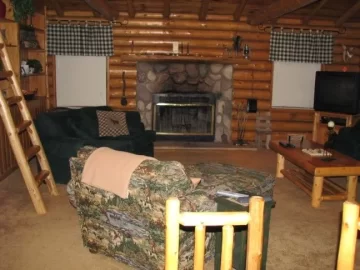 [Hearth.com] How can I make THIS non-combustible??