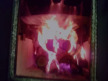 [Hearth.com] Fisher Papa Bear - Need Baffle Info.