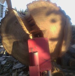 I scored my first Elm today