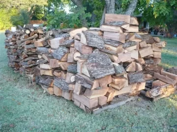 [Hearth.com] City Park with fallen Pecan