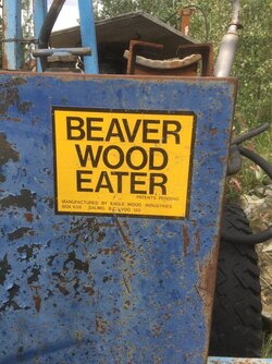 beaver wood eater.jpg