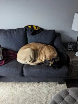 [Hearth.com] The floor is lava
