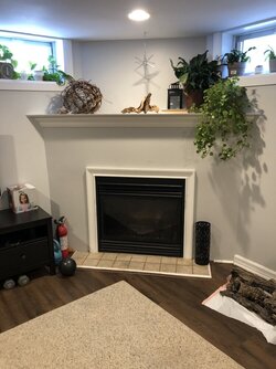 Wood stove insert in basement fireplace rebuild?