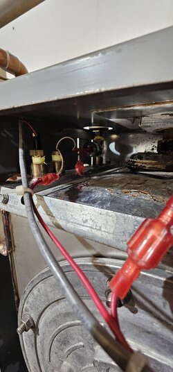 NTI Trinity 150 Hydronic Boiler issue.