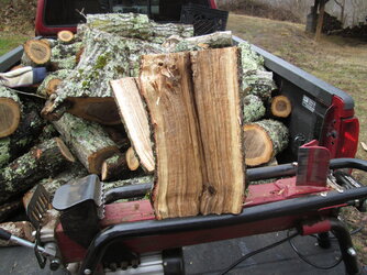 Oak Firewood Score
