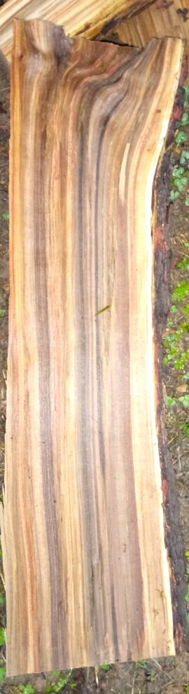 Anyone know this wood?