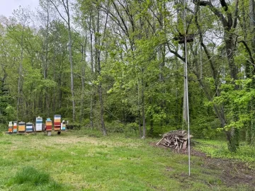 [Hearth.com] Any Bees Here?
